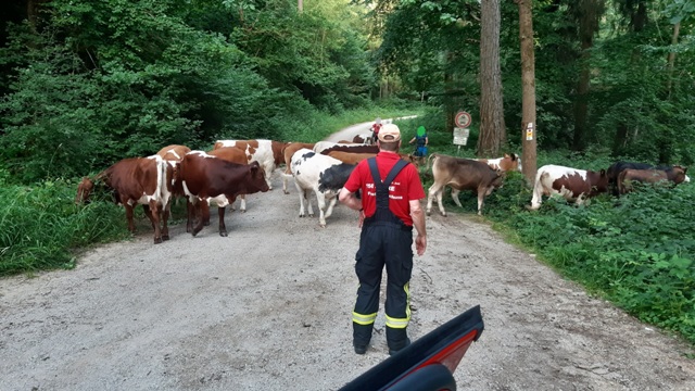 20220618_200748_resized bearbeitet groß.jpg